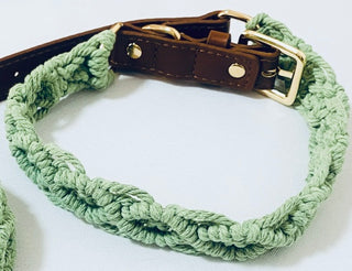 Green Collar/Leash set