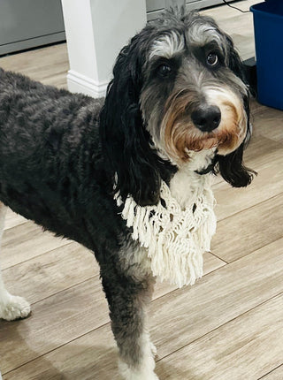 Vintage Macrame Bandana