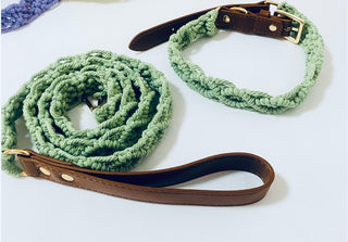 Green Collar/Leash set